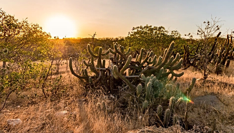 Uma imagem impressionante