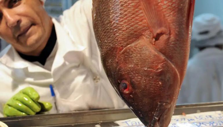 Uma imagem impressionante