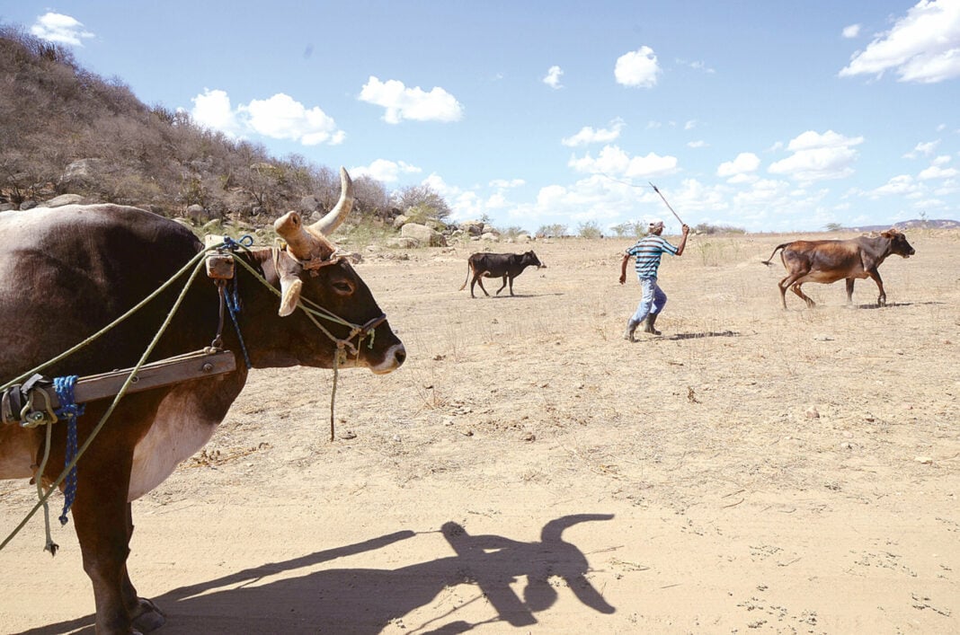 Uma imagem impressionante