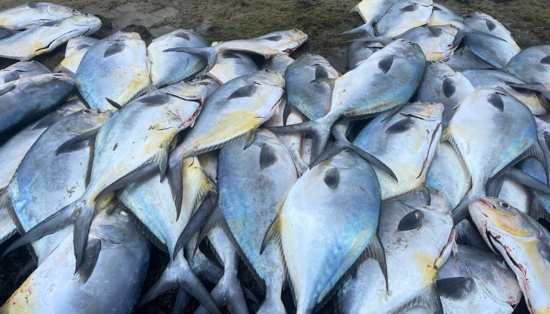 Uma imagem impressionante