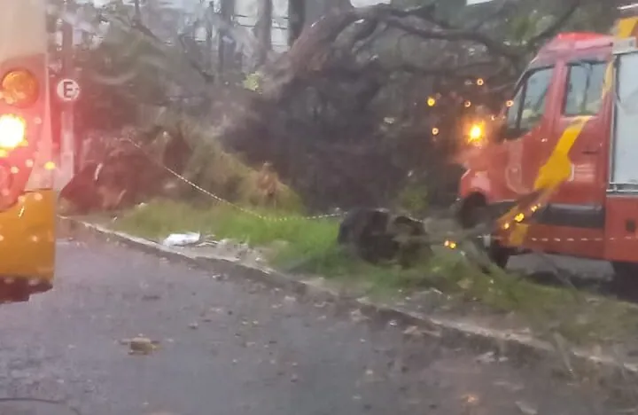 Uma imagem impressionante
