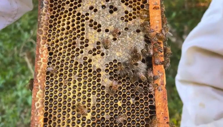 Uma imagem impressionante