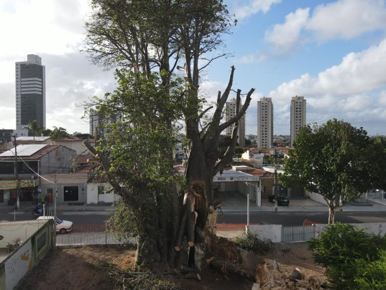 Uma imagem impressionante