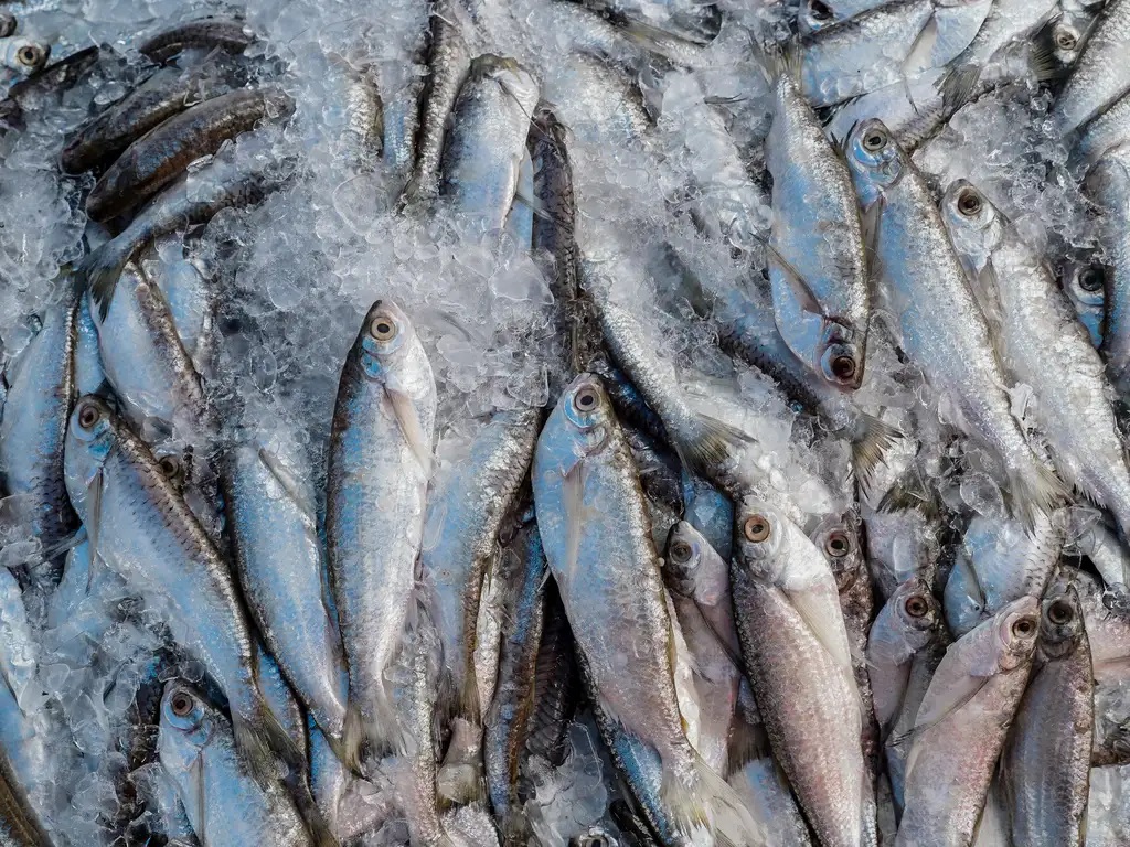 Uma imagem impressionante