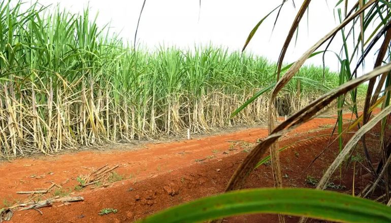 Uma imagem impressionante