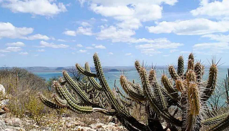 Uma imagem impressionante