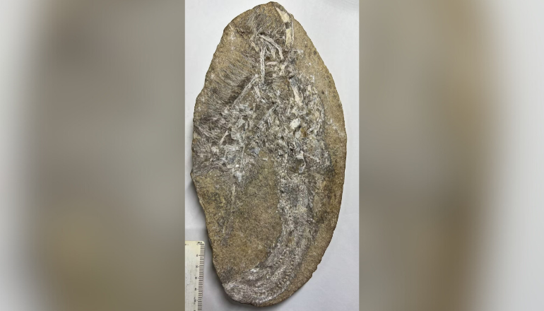 Uma imagem impressionante