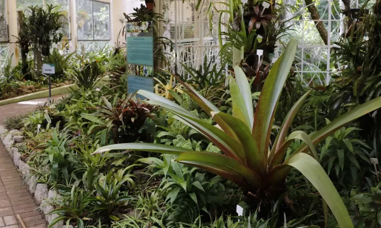 Uma imagem impressionante