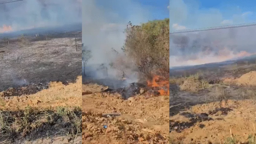 Uma imagem impressionante