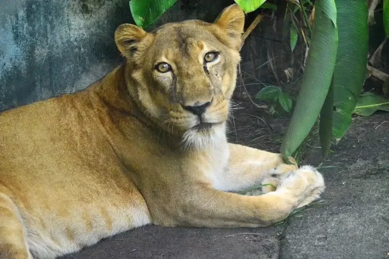 Uma imagem impressionante