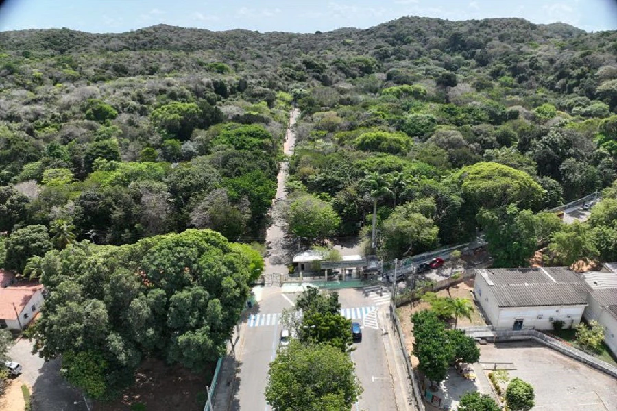 Uma imagem impressionante