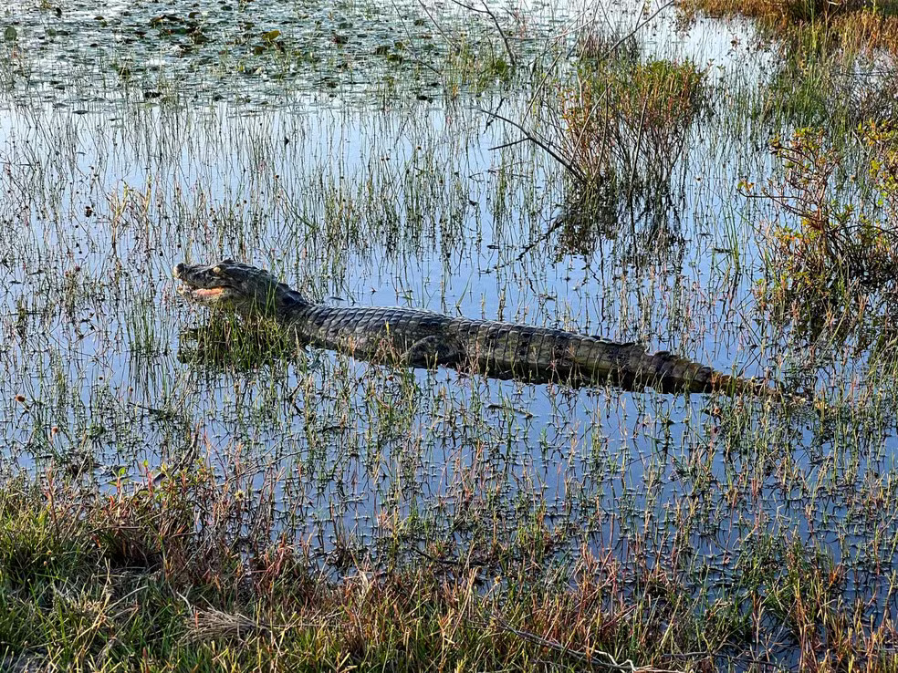 Uma imagem impressionante