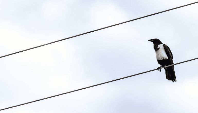 Uma imagem impressionante