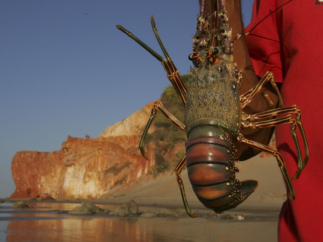 Uma imagem impressionante