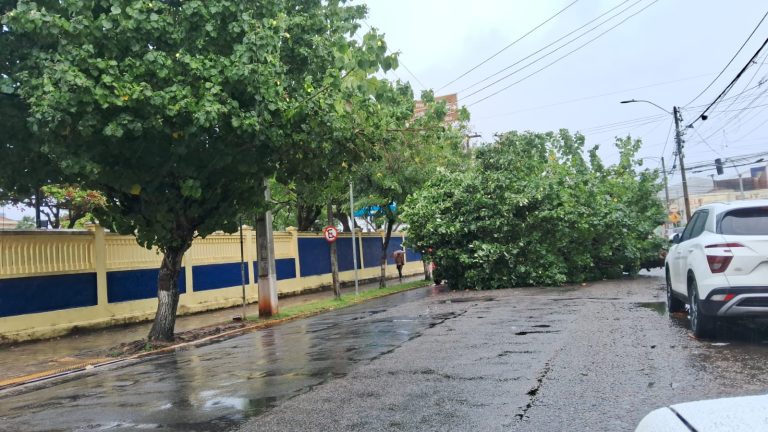 Uma imagem impressionante