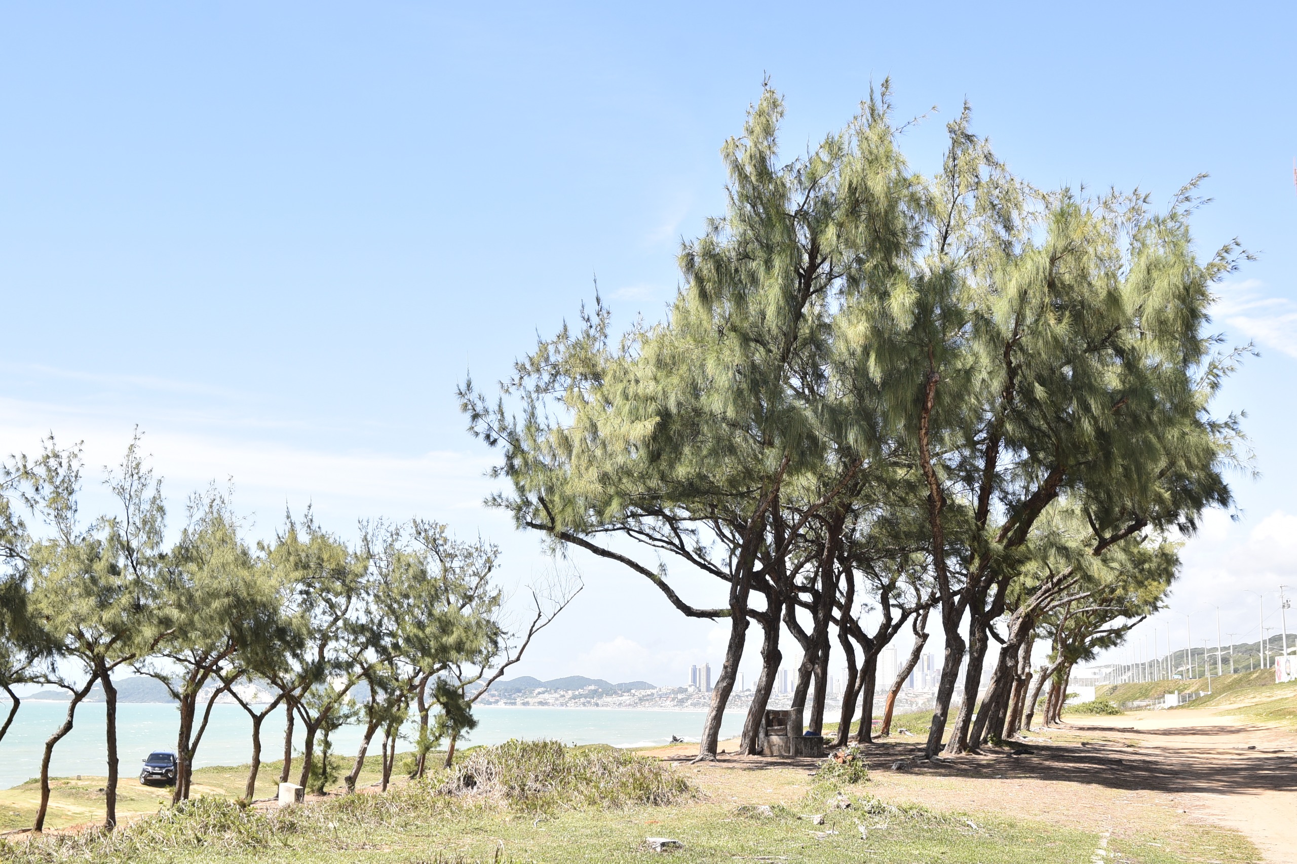 Uma imagem impressionante