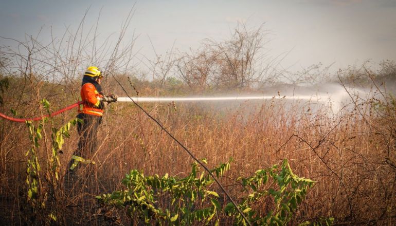 Uma imagem impressionante
