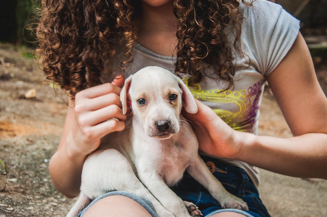 Uma imagem impressionante