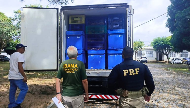 Uma imagem impressionante