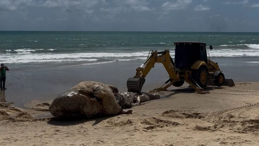 Uma imagem impressionante